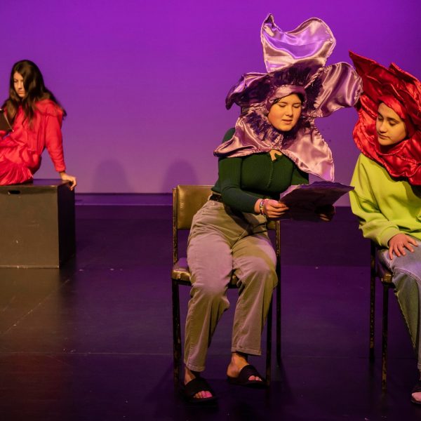 Stagecraft1 - © Kerry Blakeney-Williams